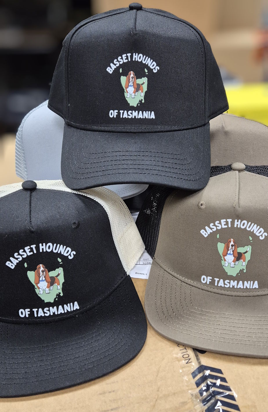 Basset Hounds of Tasmania - Five Panel Cap